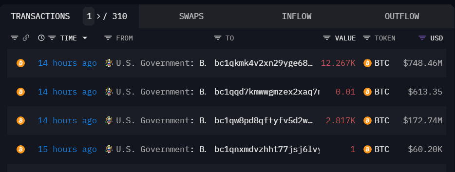 US govt transactions